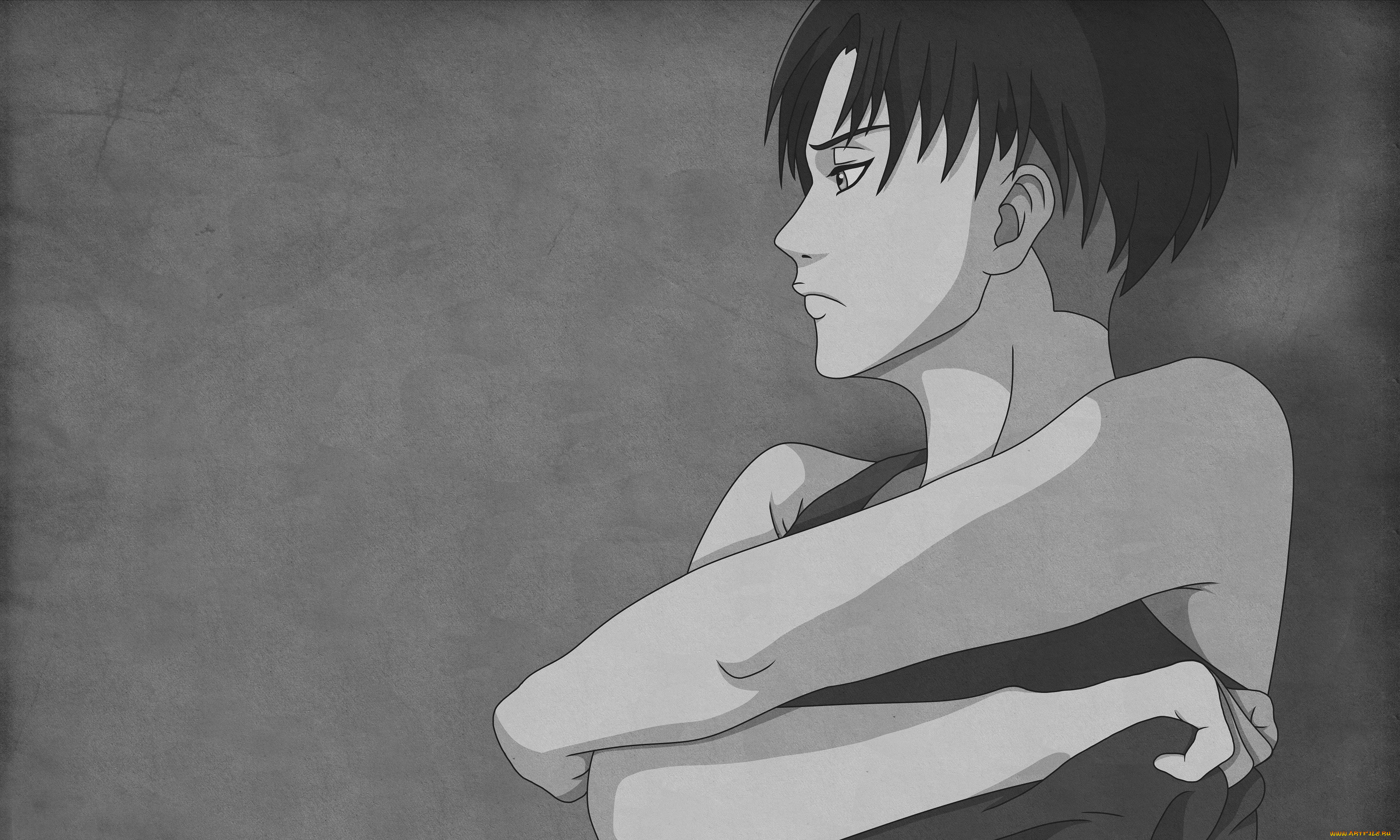 , shingeki no kyojin, 